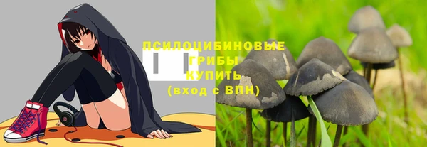 дживик Армянск