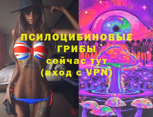 дживик Армянск