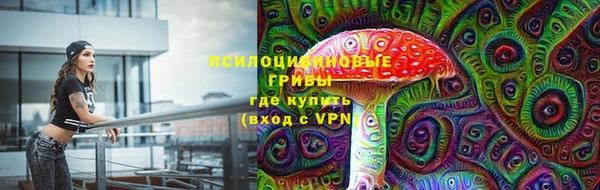 дживик Армянск